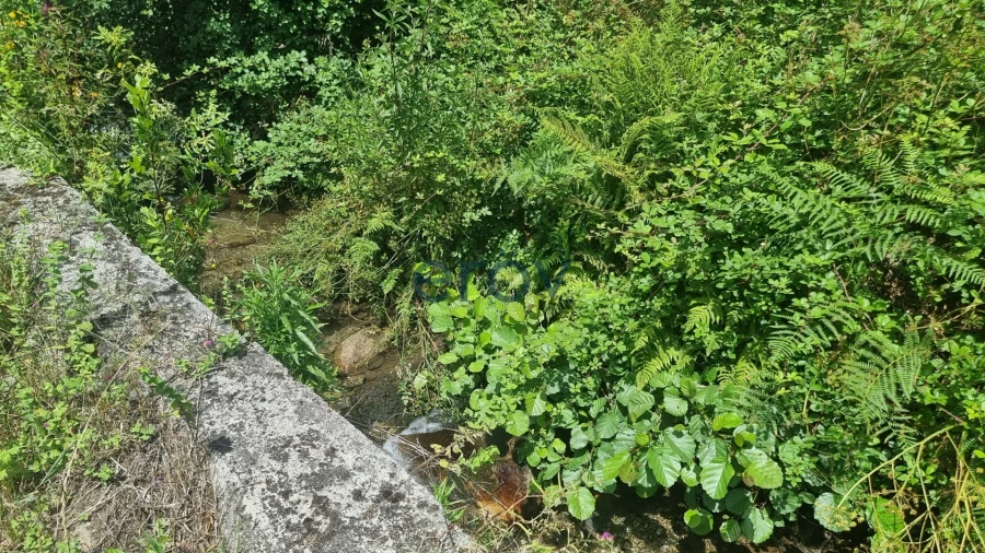 Terreno para Venda em Joane Foto 18