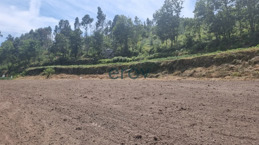 Terreno para Venda em Joane Foto 14