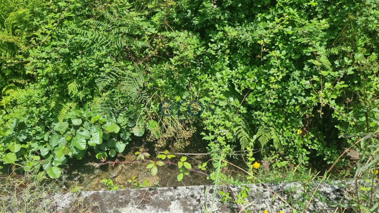 Terreno para Venda em Joane Foto 17