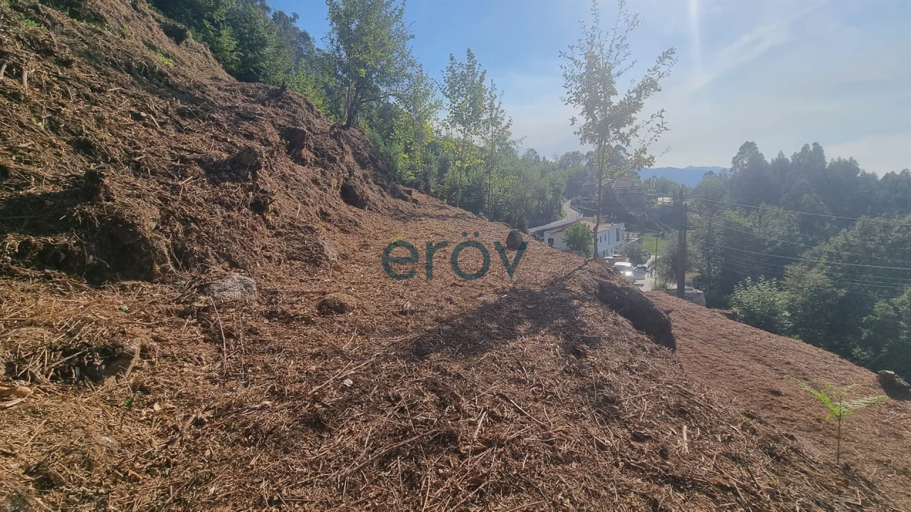 Terreno para Venda em Caniçada e Soengas Foto 12