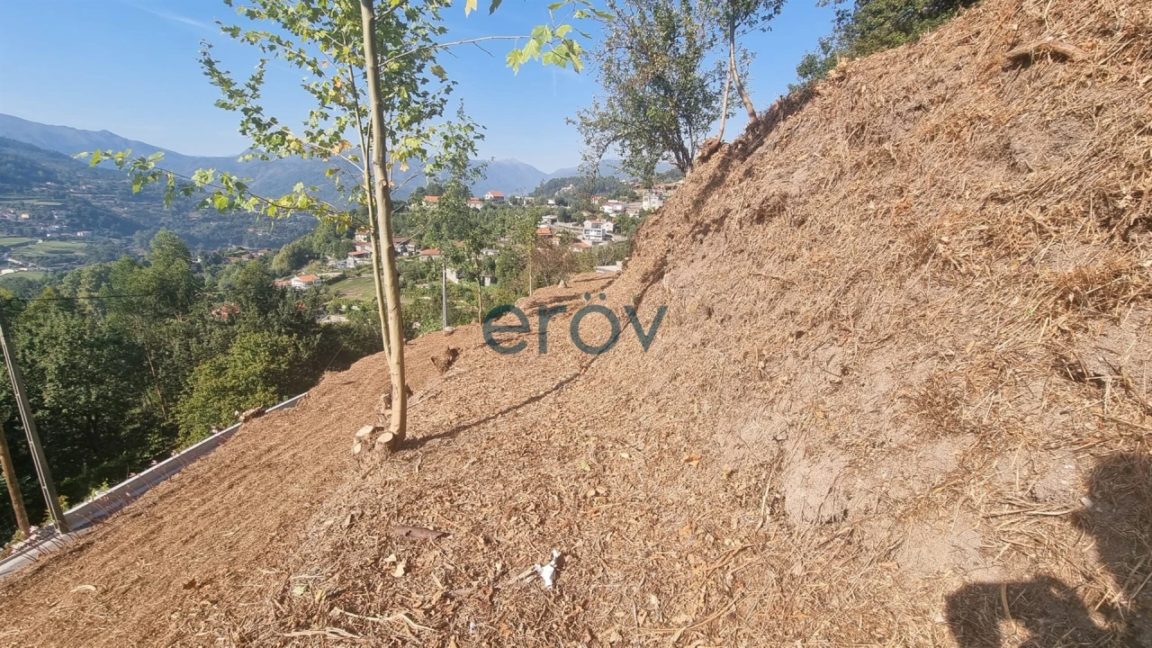 Terreno para Venda em Caniçada e Soengas Foto 16