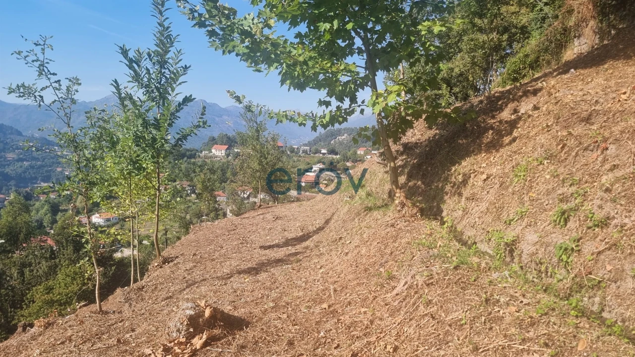 Terreno para Venda em Caniçada e Soengas Foto 11