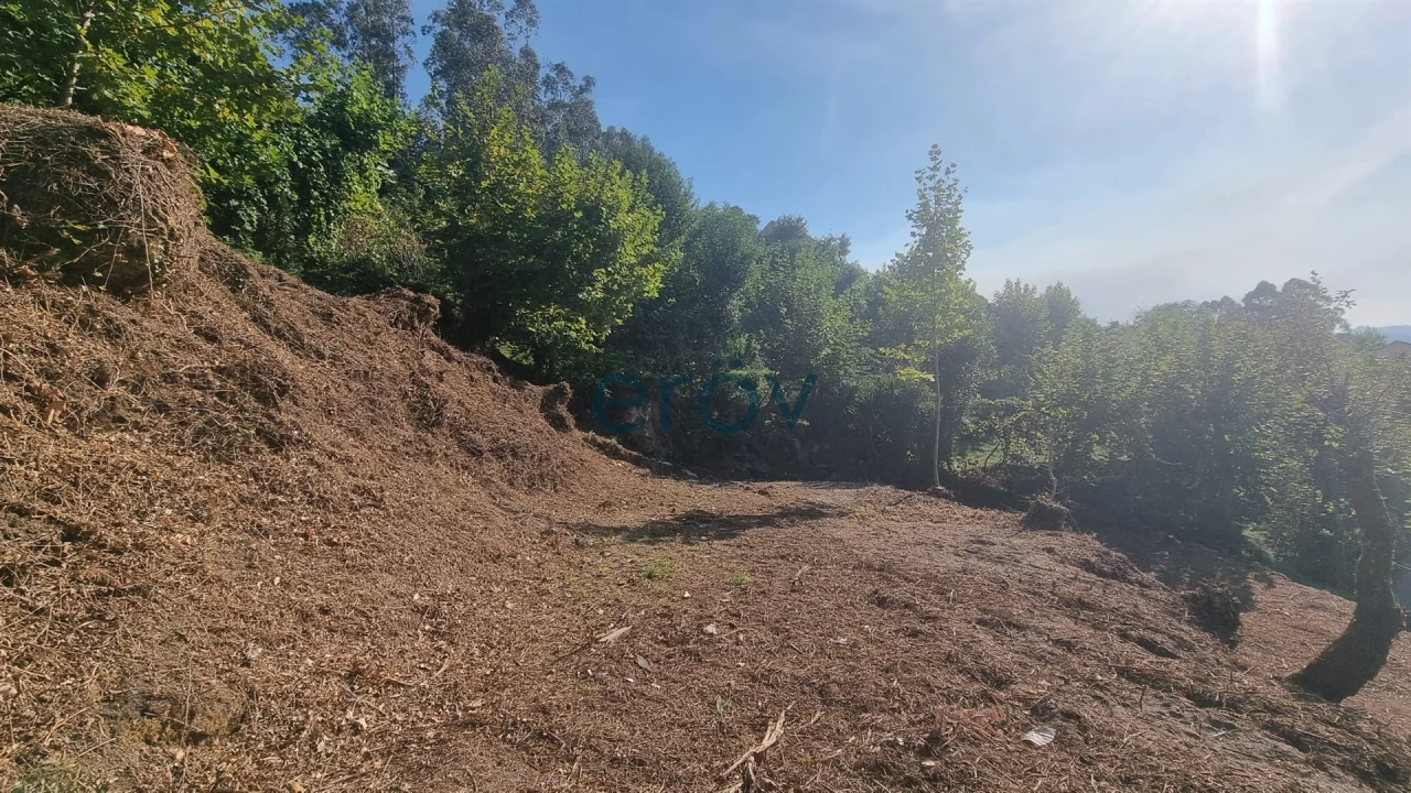 Terreno para Venda em Caniçada e Soengas Foto 17