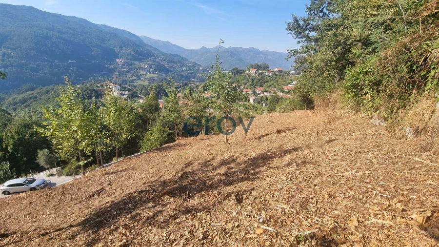 Terreno para Venda em Caniçada e Soengas Foto 4