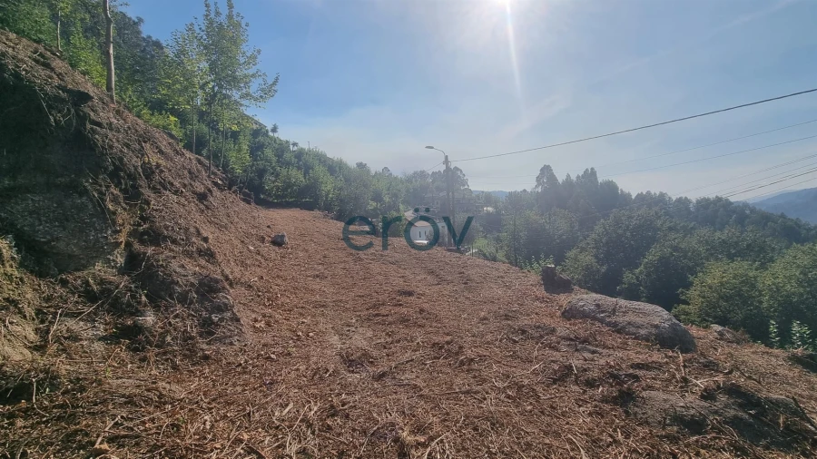 Terreno para Venda em Caniçada e Soengas Foto 19