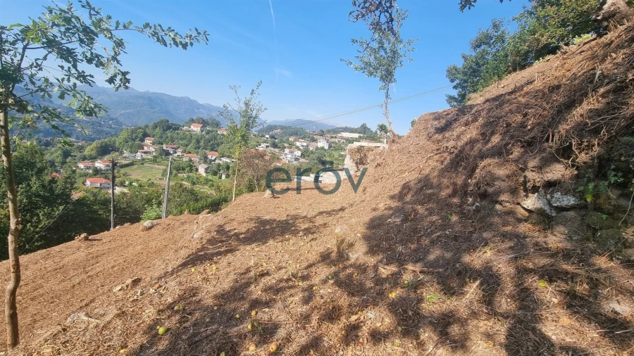 Terreno para Venda em Caniçada e Soengas Foto 13