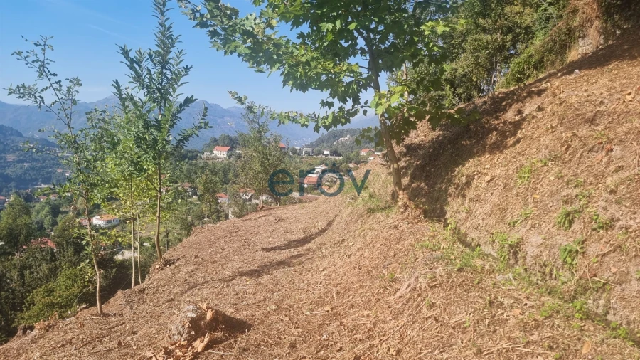 Terreno para Venda em Caniçada e Soengas Foto 11