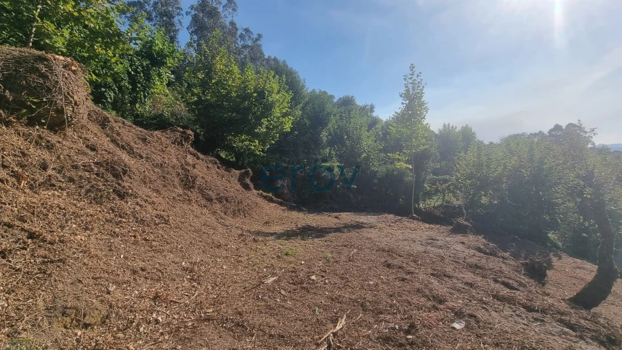 Terreno para Venda em Caniçada e Soengas Foto 17