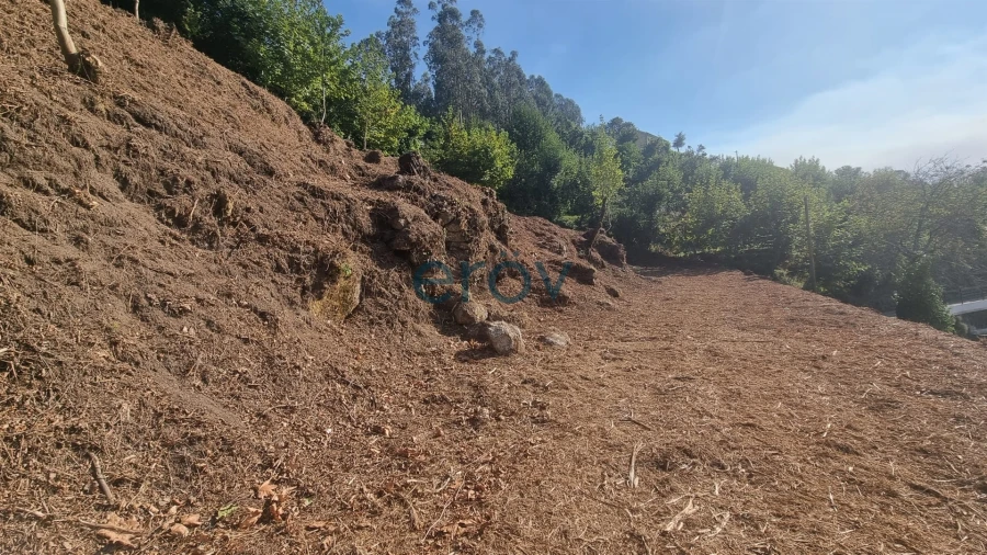 Terreno para Venda em Caniçada e Soengas Foto 22