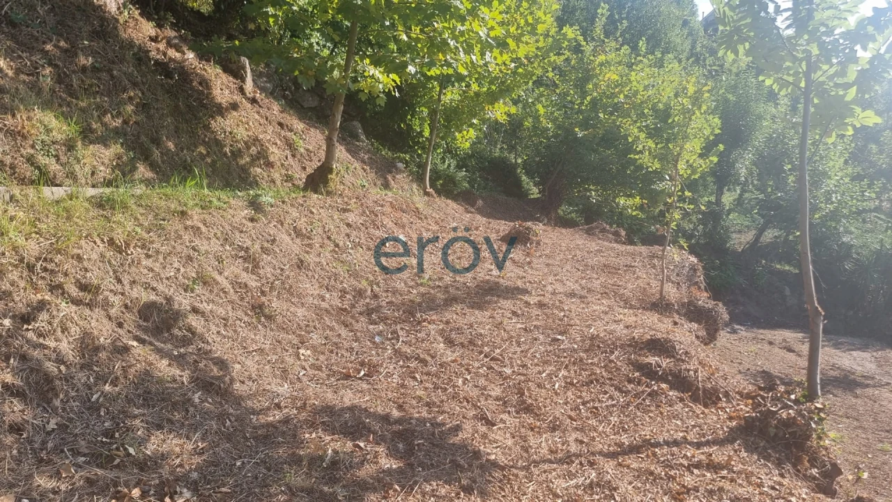 Terreno para Venda em Caniçada e Soengas Foto 6