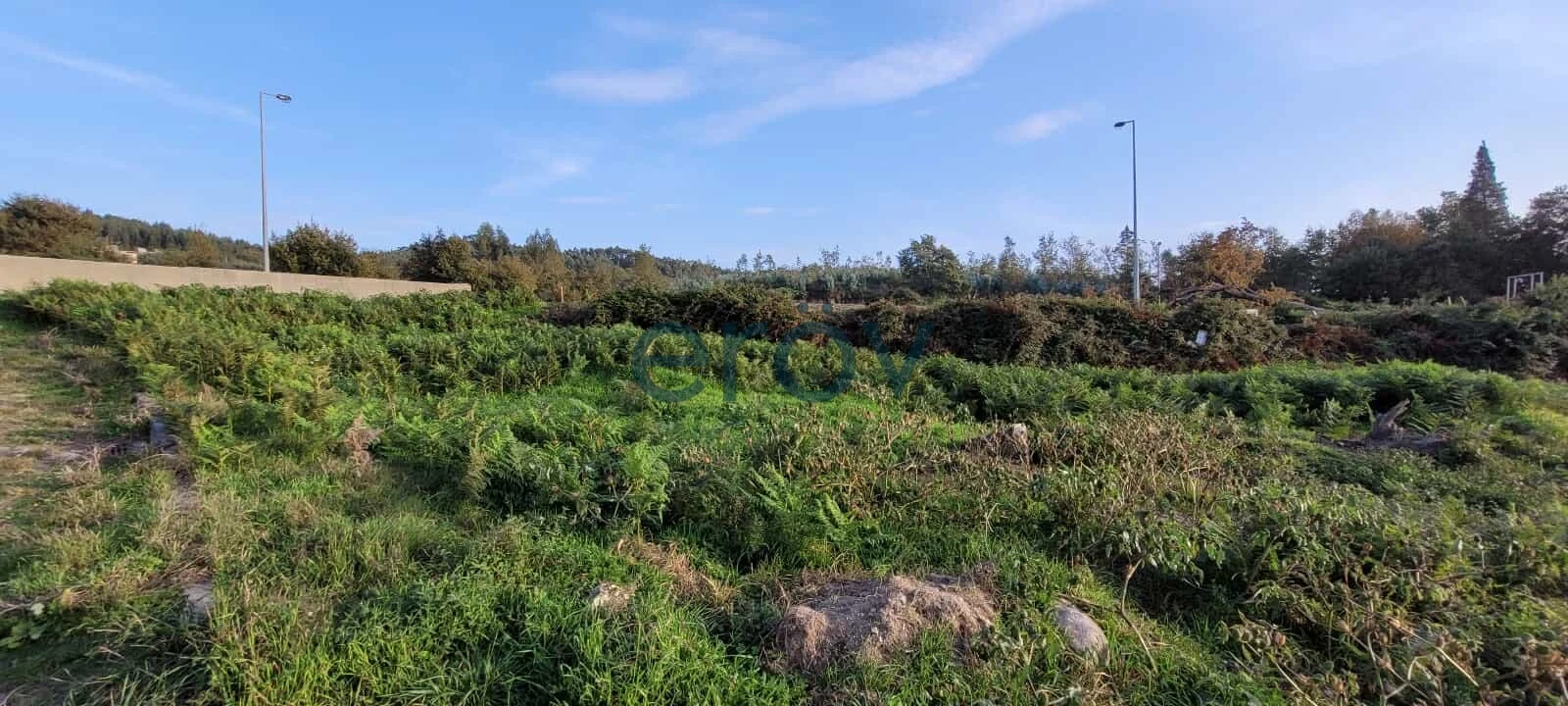Terreno para Venda em Ruivães e Novais Foto 2