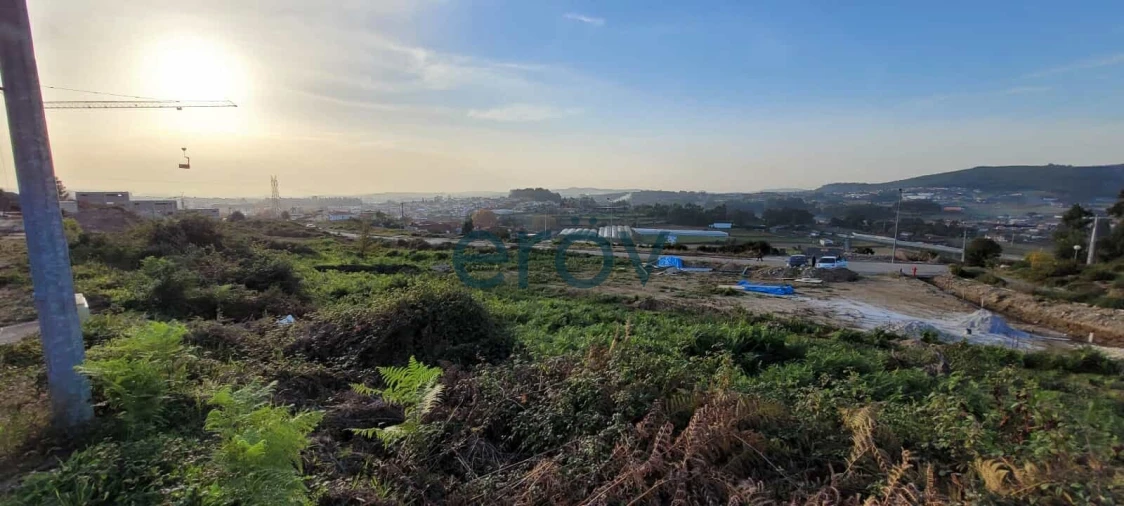 Terreno para Venda em Ruivães e Novais Foto 4