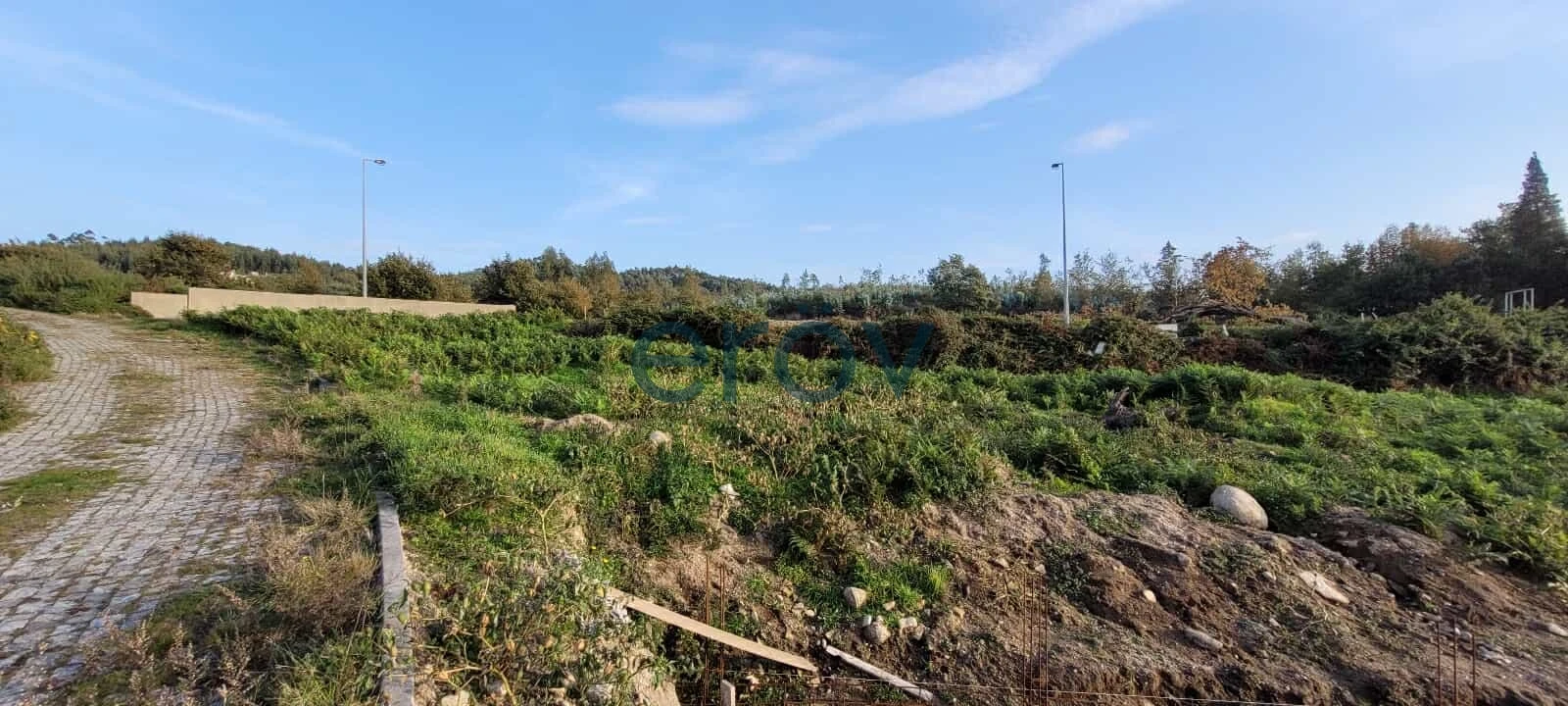 Terreno para Venda em Ruivães e Novais Foto 6