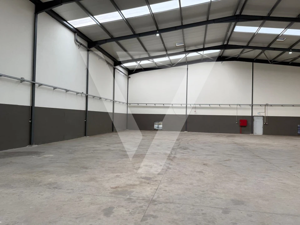 Armazém para Venda em Grijó e Sermonde Foto 3