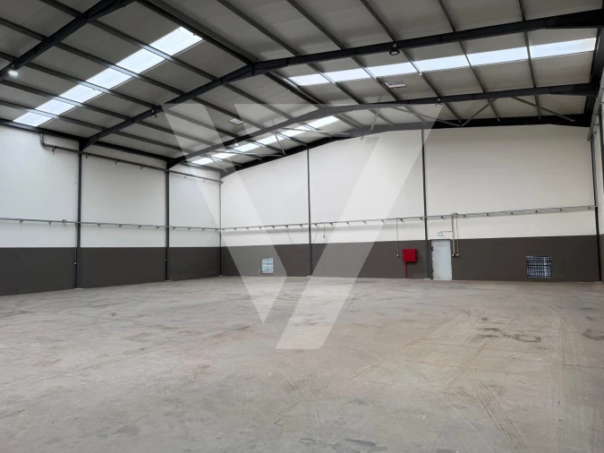 Armazém para Venda em Grijó e Sermonde Foto 6