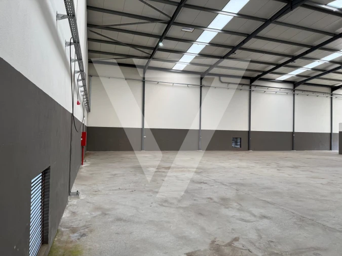 Armazém para Arrendamento em Grijó e Sermonde Foto 5