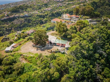 Terreno para Venda em Santa Cruz