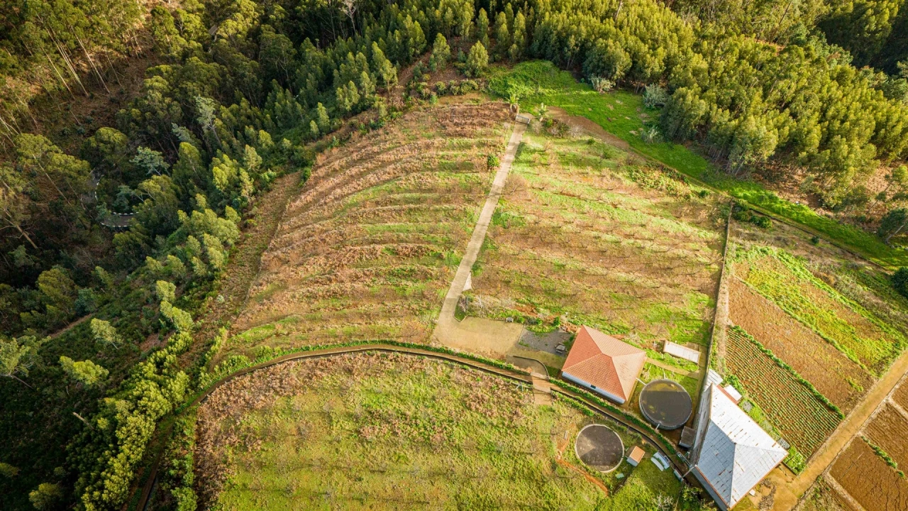 Terreno para Venda em Calheta Foto 3