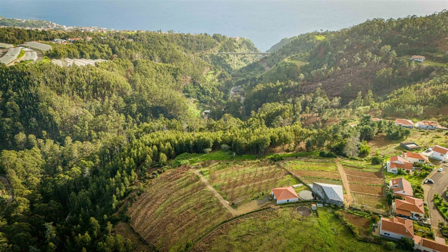 Terreno para Venda em Calheta Foto 5