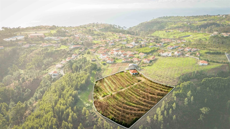 Terreno para Venda em Calheta Foto 10