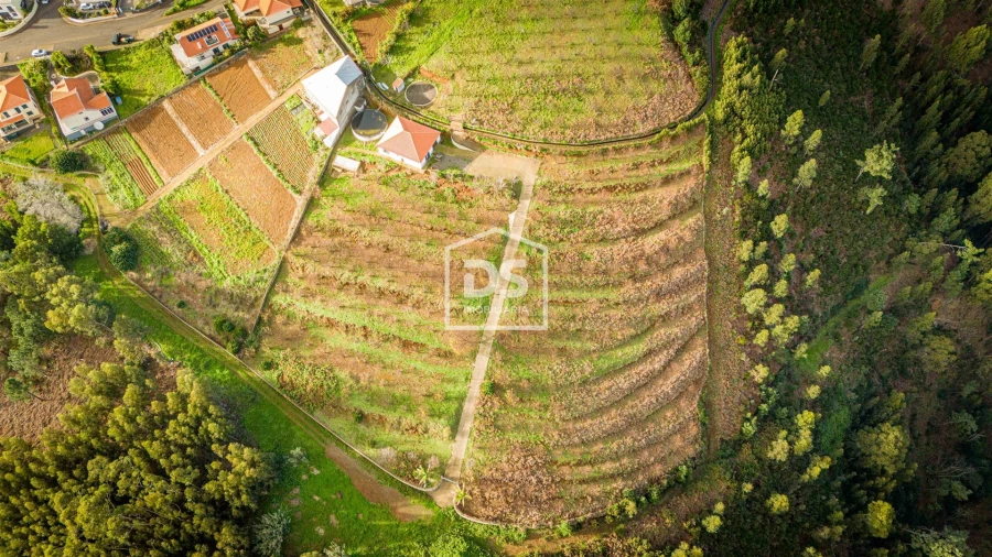 Terreno para Venda em Calheta Foto 12