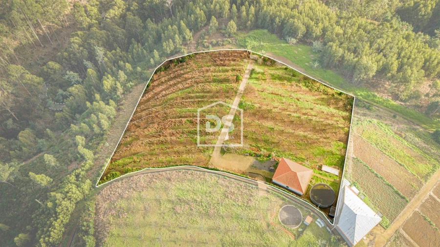 Terreno para Venda em Calheta Foto 27