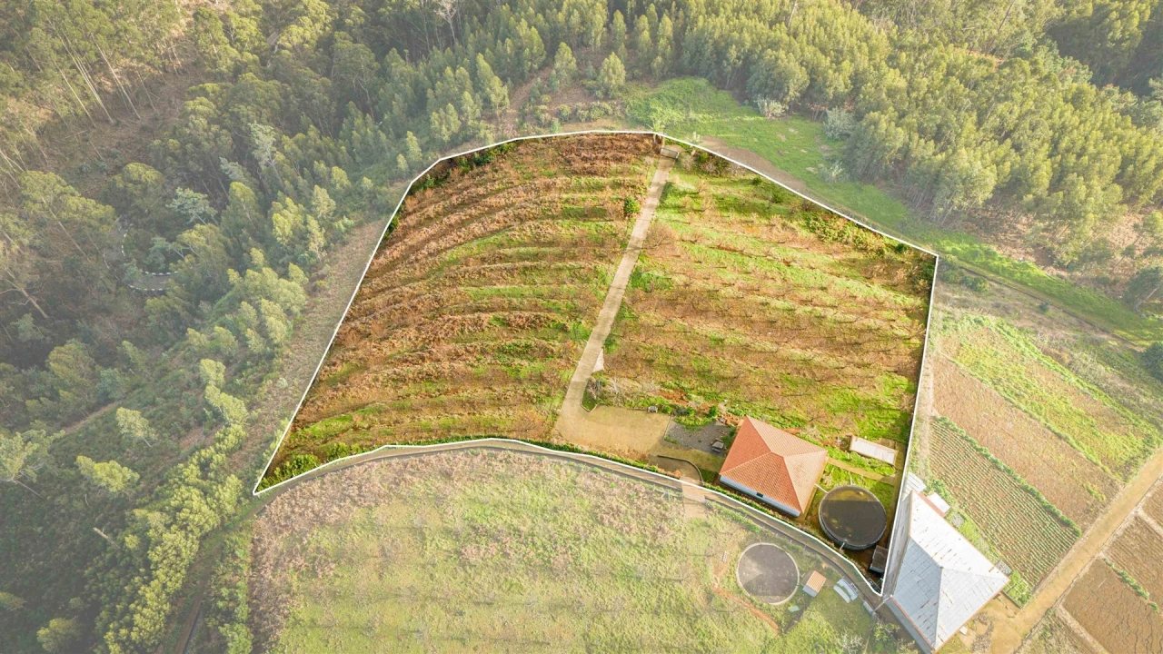 Terreno para Venda em Calheta Foto 4