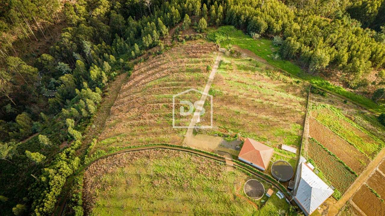 Terreno para Venda em Calheta Foto 14