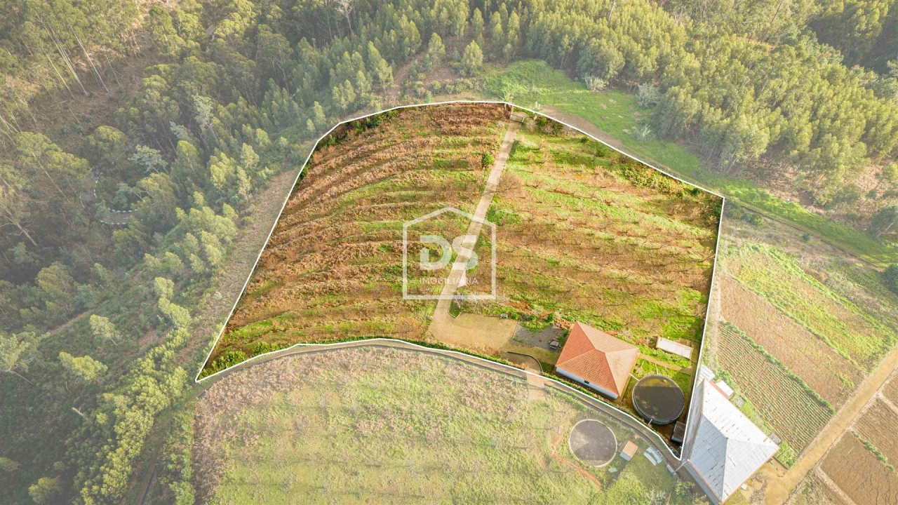 Terreno para Venda em Calheta Foto 27