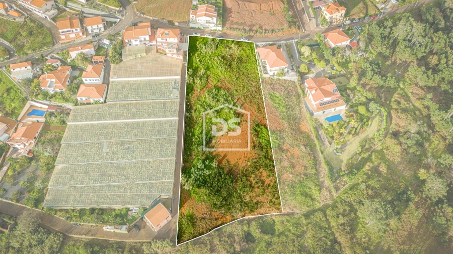 Terreno para Venda em Prazeres Foto 4