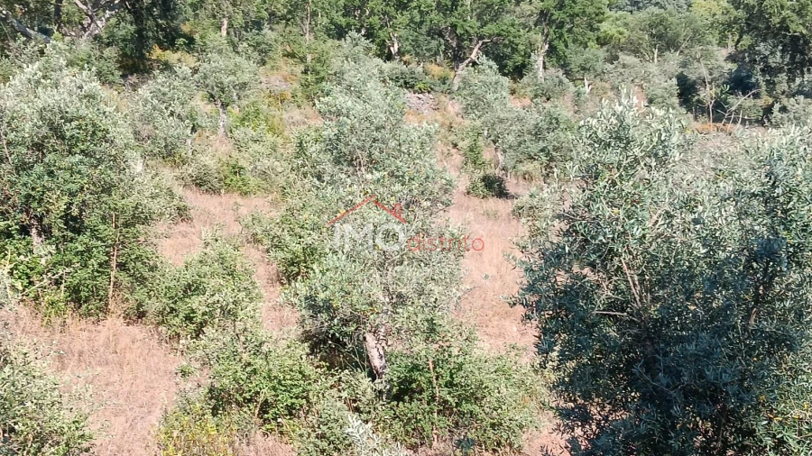 Terreno Agricola ou Rústico para Venda em São Salvador da Aramenha