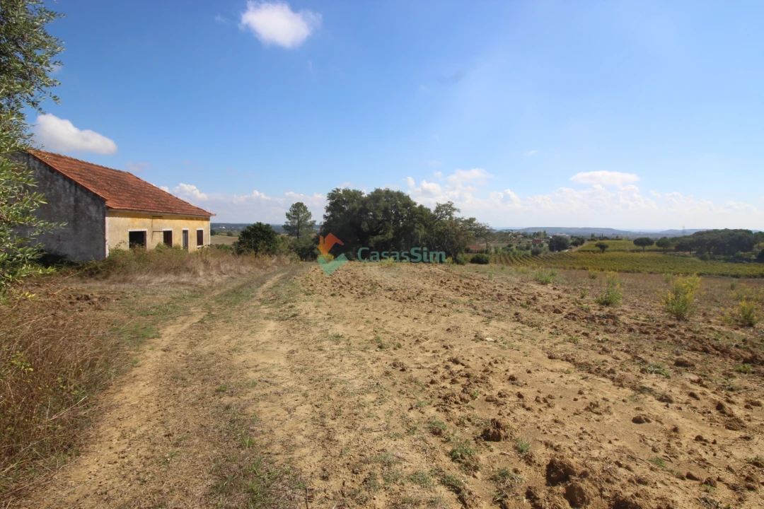 Quinta T0 para Venda em Casével e Vaqueiros Foto 15