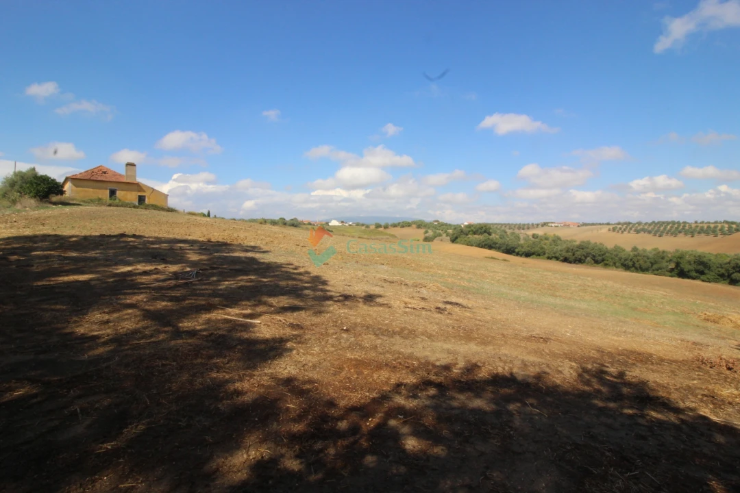 Quinta T0 para Venda em Casével e Vaqueiros Foto 8