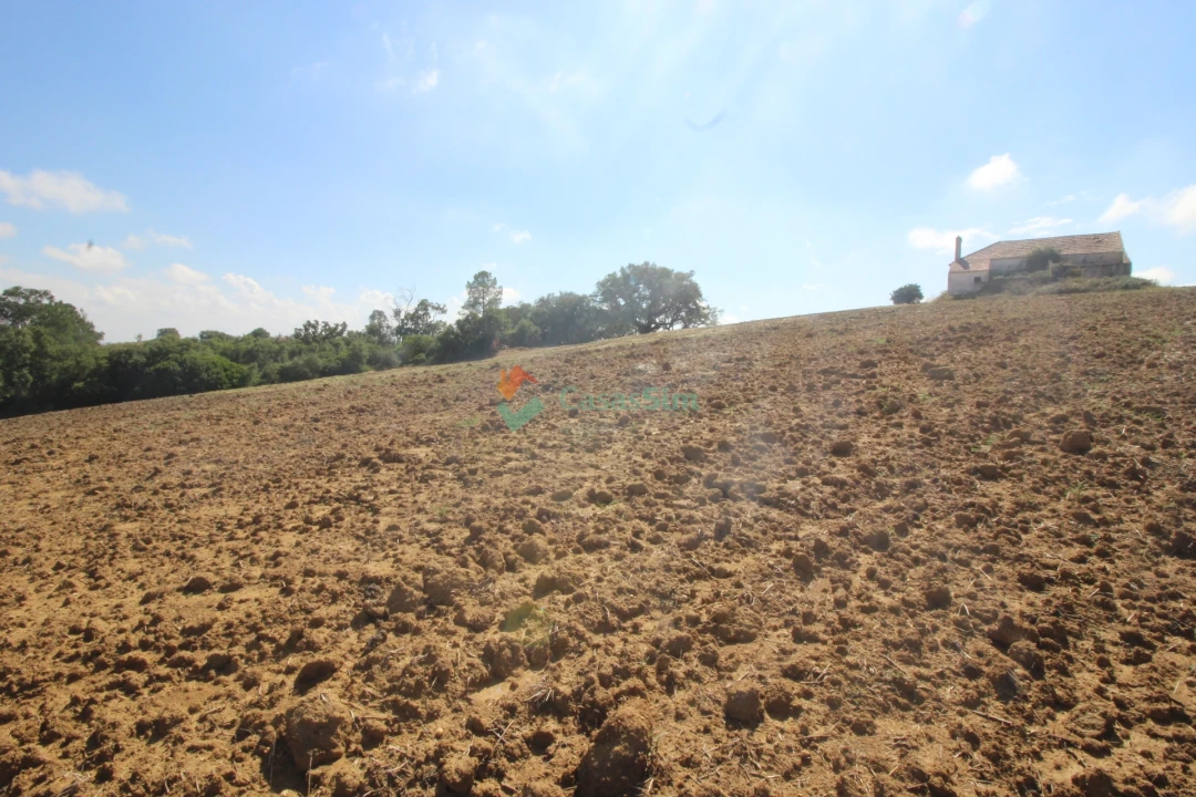 Quinta T0 para Venda em Casével e Vaqueiros Foto 4
