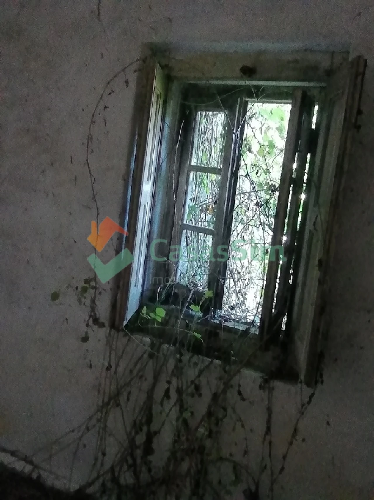 Quinta T0 para Venda em Casével e Vaqueiros Foto 22