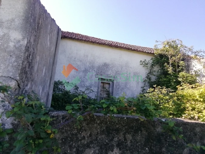 Quinta T0 para Venda em Casével e Vaqueiros Foto 18