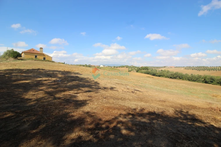 Quinta T0 para Venda em Casével e Vaqueiros Foto 9