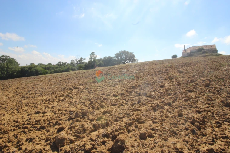 Quinta T0 para Venda em Casével e Vaqueiros Foto 4