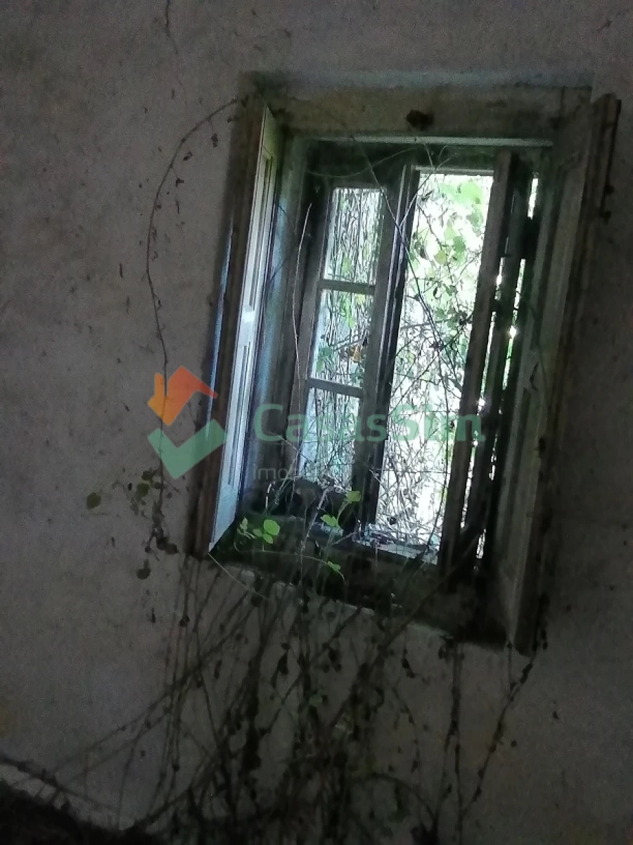 Quinta T0 para Venda em Casével e Vaqueiros Foto 22