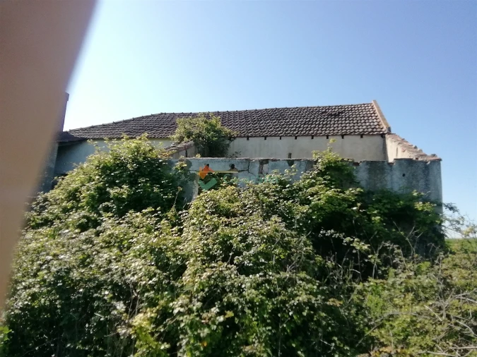 Quinta T0 para Venda em Casével e Vaqueiros Foto 16