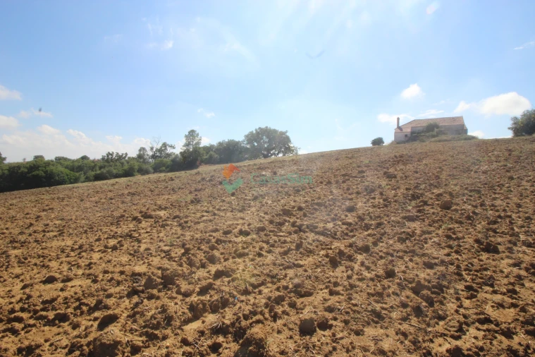 Quinta T0 para Venda em Casével e Vaqueiros Foto 3