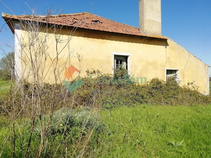 Quinta T0 para Venda em Casével e Vaqueiros Foto 20