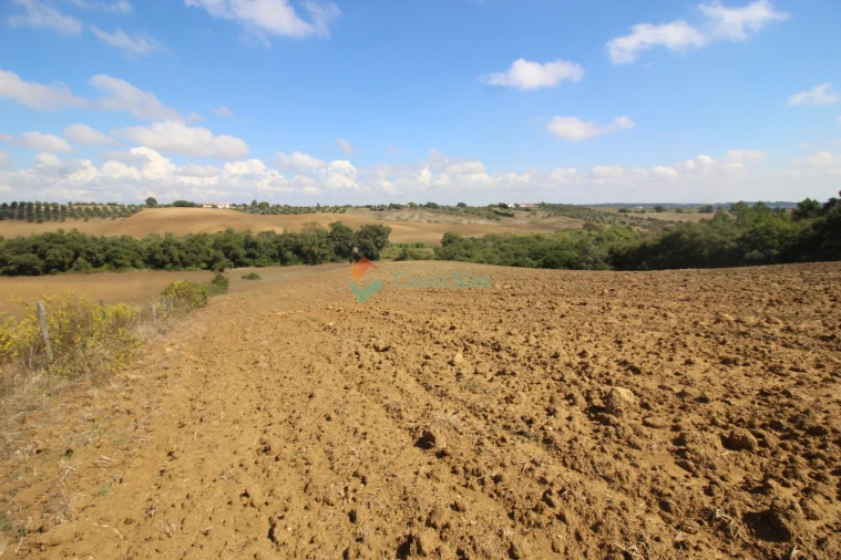 Quinta T0 para Venda em Casével e Vaqueiros Foto 5