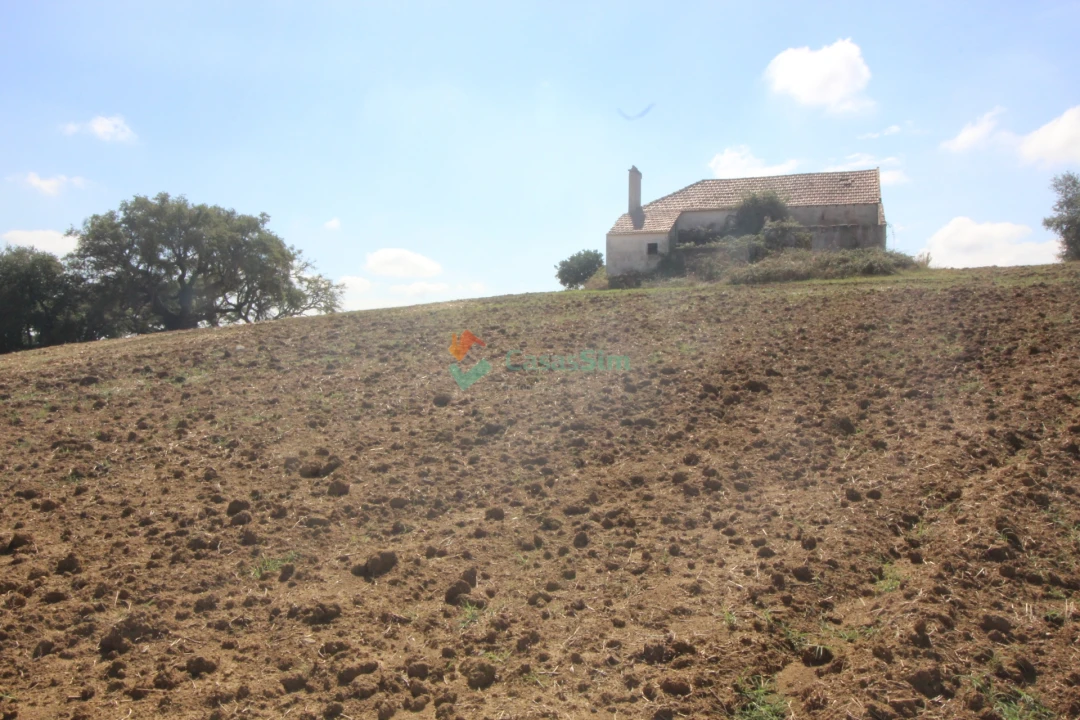 Quinta T0 para Venda em Casével e Vaqueiros Foto 6