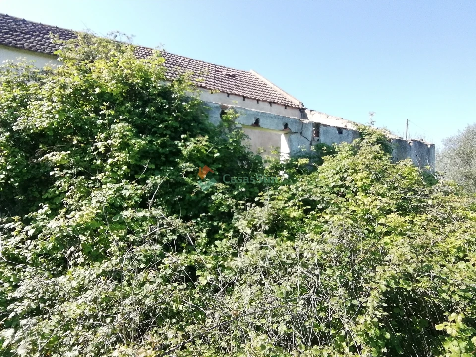 Quinta T0 para Venda em Casével e Vaqueiros Foto 17