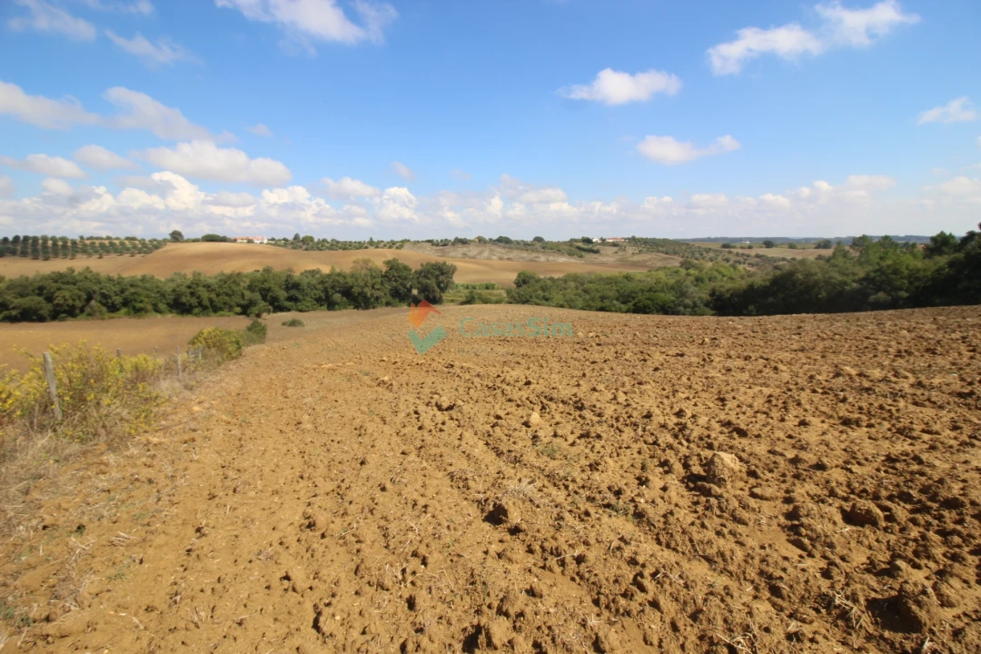 Quinta T0 para Venda em Casével e Vaqueiros Foto 5