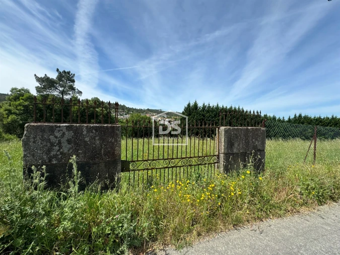 Terreno para Venda em Sobreira Foto 11