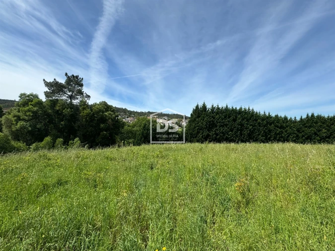Terreno para Venda em Sobreira Foto 3
