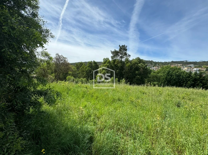 Terreno para Venda em Sobreira Foto 4