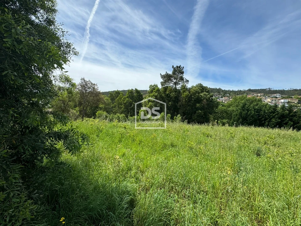 Terreno para Venda em Sobreira Foto 4